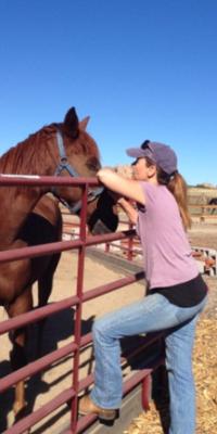 Desi horse with person